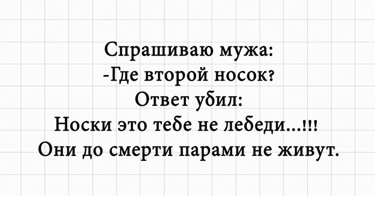 Шутки для хорошего настроения, добрые и смешные 