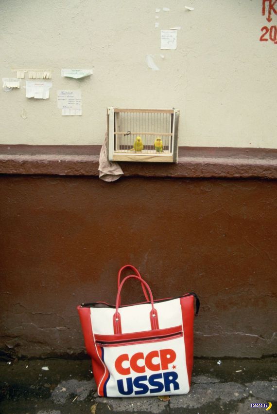 СССР, конец 1980-х 