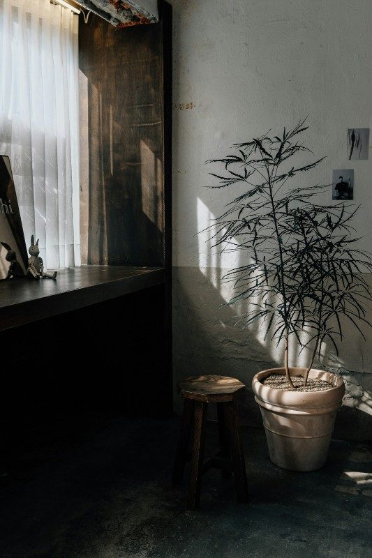 Эстетика несовершенства, которая делает дом живым