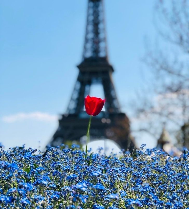 20 доказательств, что нестандартный ракурс может преобразить любой снимок 