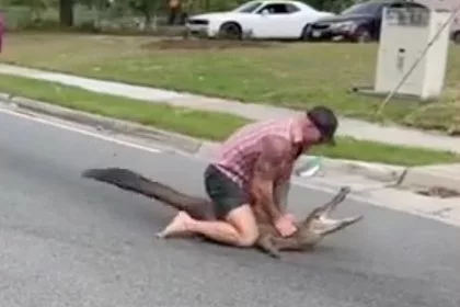 Мужчина сошелся в схватке с аллигатором на оживленной улице