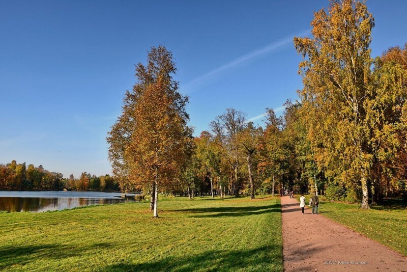 Бесподобный Гатчинский парк осенью Гатчина,Ленинградская область,осень