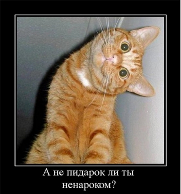 Гомосексуализм – болезнь, распространяемая СМИ