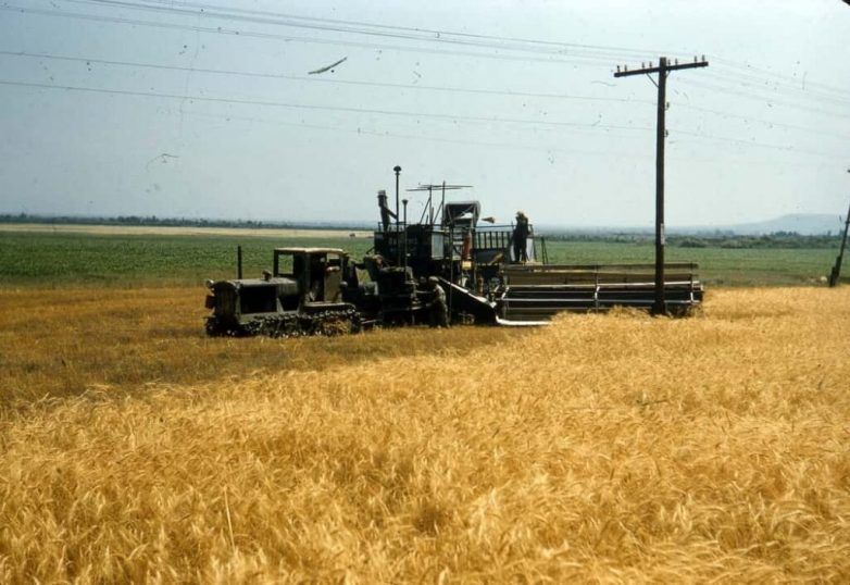 Цветные фото СССР сталинской эпохи Цветные фото СССР сталинской эпохи