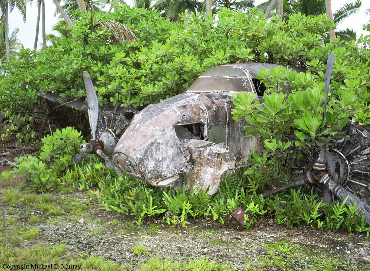 Потерпевший крушение в 1980 г. самолет Локхид 18-56 Лодестар