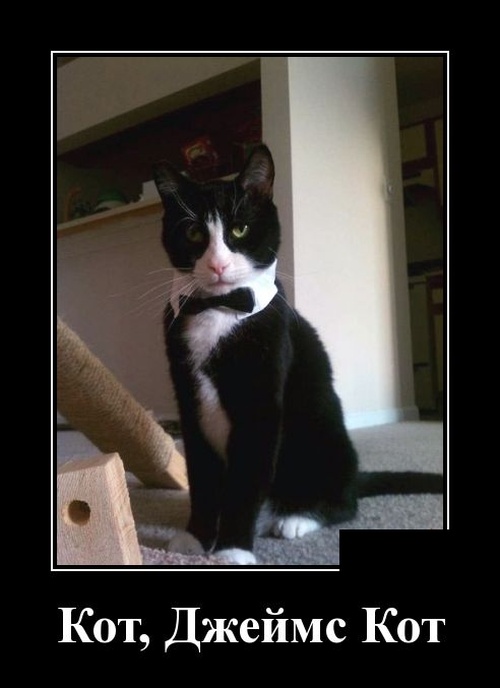 Ничего, выживем! В крайнем случае из ума анекдоты