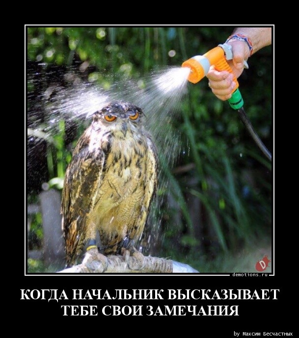 Демотиваторов прикольная порция Демотиваторов прикольная порция