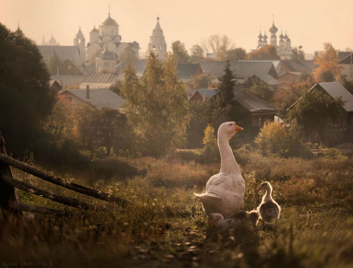 17 сказочных деревушек, куда вы можете сбежать от серых будней деревни,мир,позитив,природа