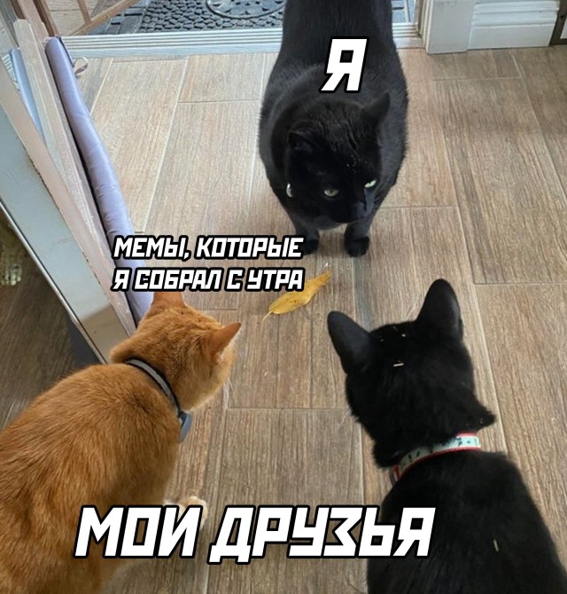 Подборка прикольных картинок  приколы,смешные картинки,юмор