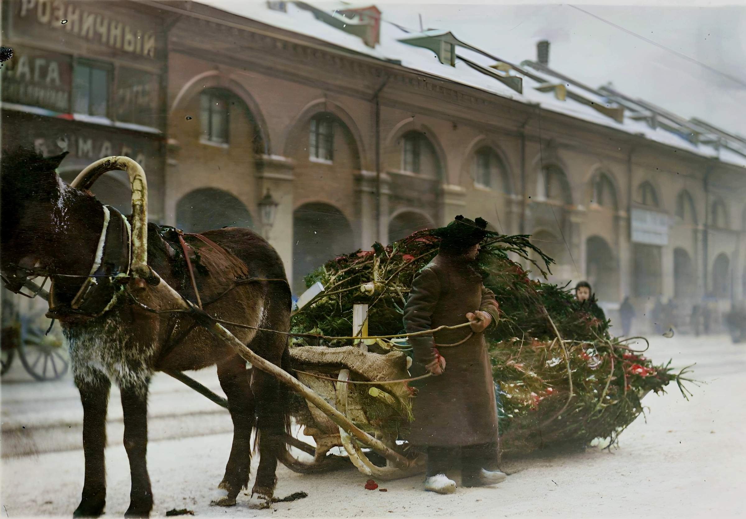 8 января 19 года. Рождественская ель 1917 в Михайловском артиллерийском училище. Елочный базар Петербург 19 век. Рождество в Петербурге 1910-е годы.