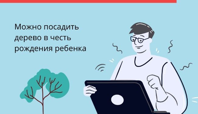 Проект наше дерево мос ру