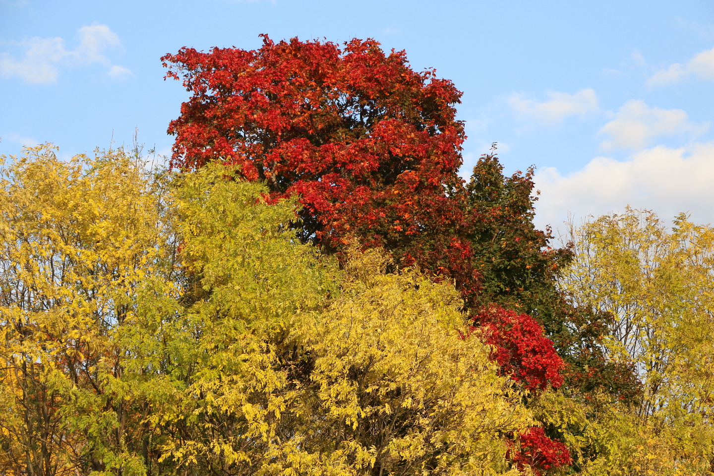Разноцветная Карелия 