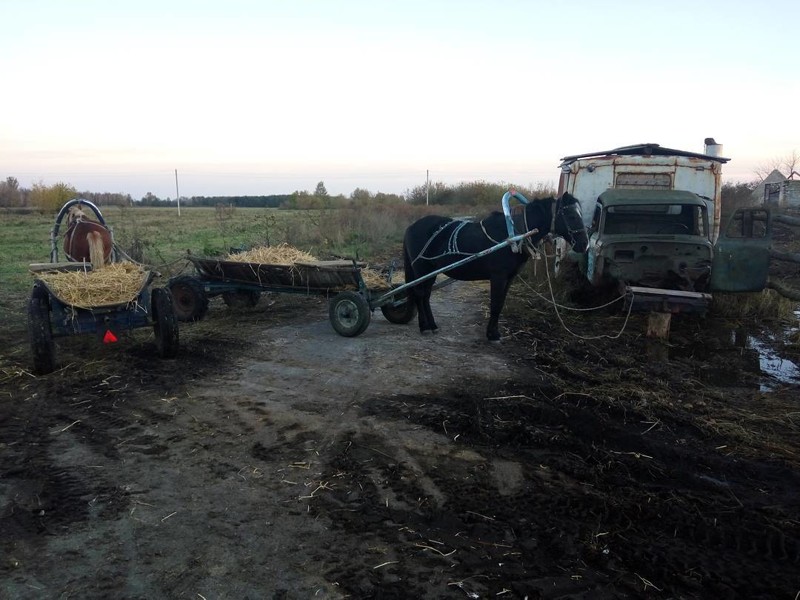 Маршрутчики отдыхают деревня, жизненно, село, сельская жизнь, транспорт