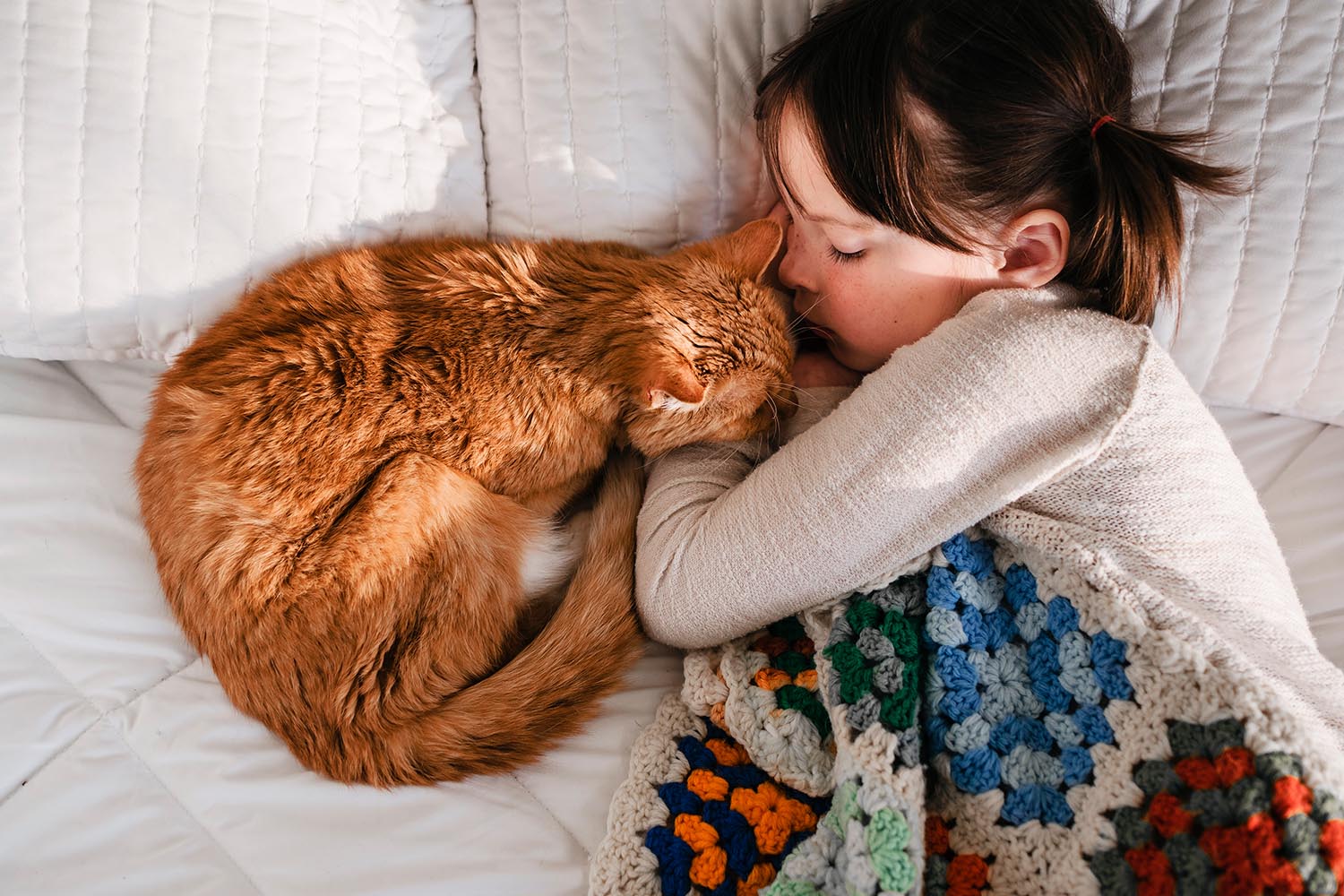 Рыжее счастье