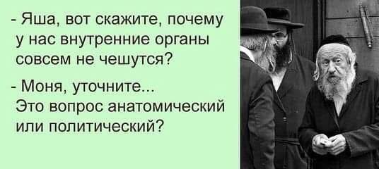 Оптимист - человек, намеревающийся вступить в брак. Пессимист - женатый оптимист Мусорный, великих, титул, рыцаря, мощных, люлей, Чебоксарах12, Ктото, автостопщиков, тогда, говорил, ладится, контакт, водителем, кабину, наполняет, получил, 2003й, тишина, залаяла