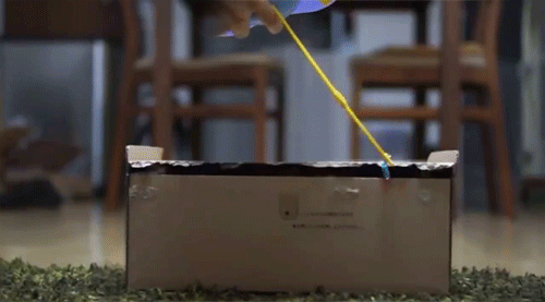 Подборка позитивных и веселых гифок Подборка позитивных и веселых гифок