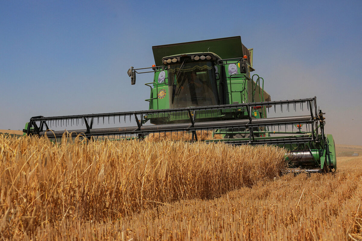 Правительство утвердило допквоту на вывоз зерна из РФ в размере 5 млн т