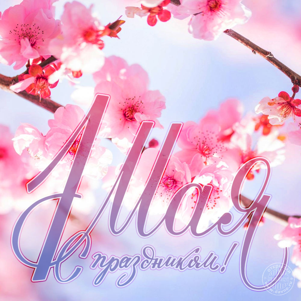 С ПЕРВОМАЕМ! | НАШ ПРОФСОЮЗ — ЭТО ТЫ И Я!