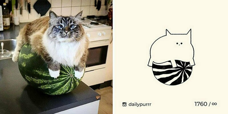 15 работ художника, который перерисовывает смешные мемы с кошками