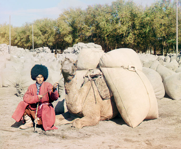 Туркмен с верблюдом. 1907 год 