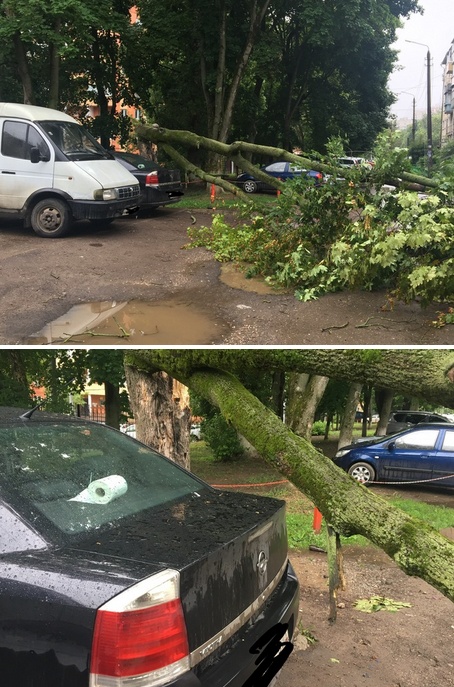 Подборка прикольных картинок Подборка прикольных картинок смешные картинки