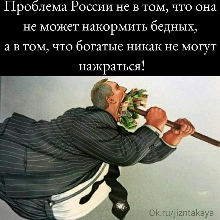 спасите заключенных или накормите. где эта бедность. приколы про бедность. спасение медведицы с банкой. шехерева анна сергеевна екатеринбург.