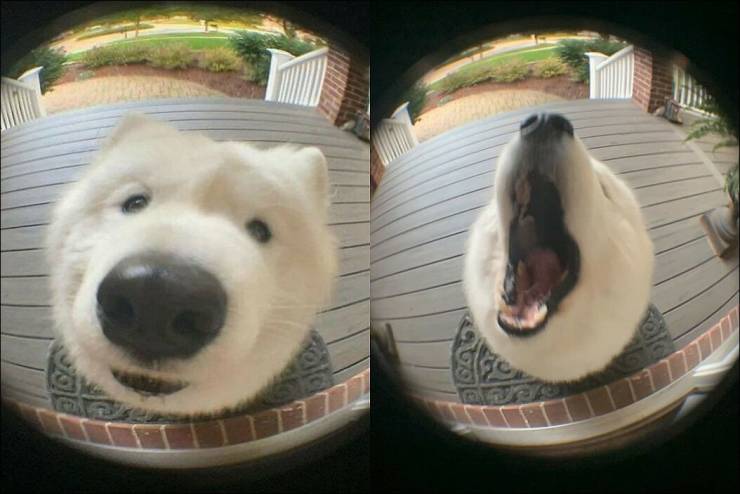 Подборка прикольных картинок  приколы,смешные картинки,юмор