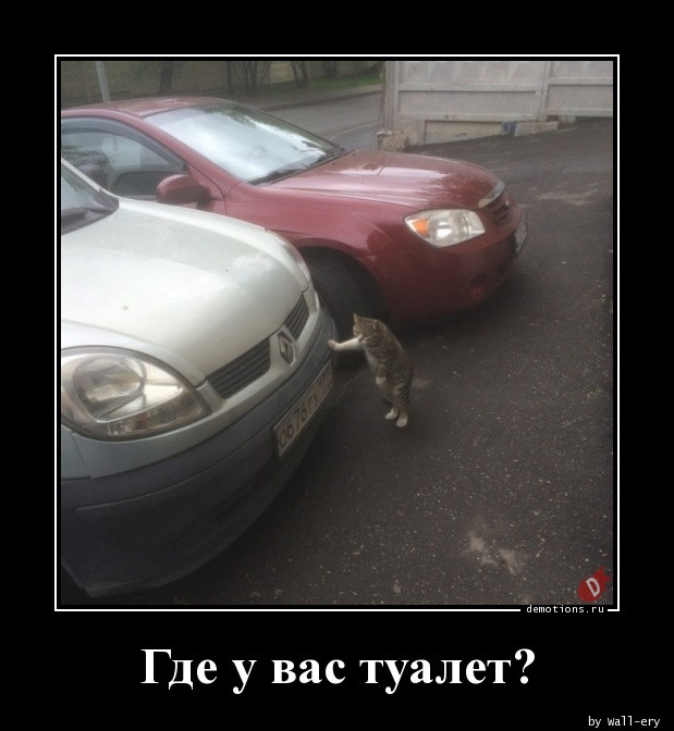 Демотиваторы для всех: «Желаю вам много тепла!»  