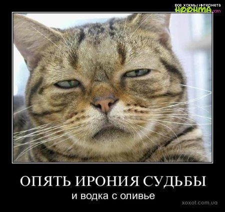 Веселые истории о нас. Предновогоднее настроение Веселые истории о нас. Предновогоднее настроение