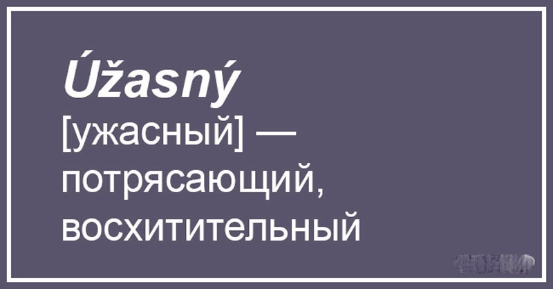 Чешский, что ты делаешь? Прекрати. 20 случаев, когда сдержать смех просто нереально 