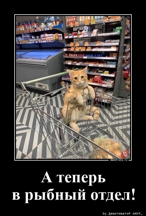 Демотивирующие картинки: «Развод и раздел имущества» 