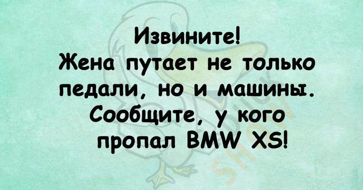 Прекрасное начало летнего дня – подборка веселых анекдотов 