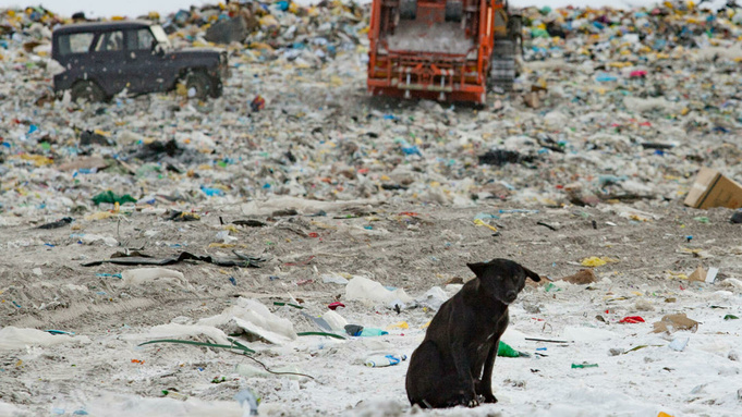 Зачем на Алтае будут рыться в мусоре и где построят комплексы по переработке отходов
