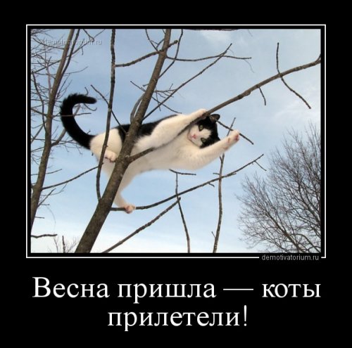 Свежие прикольные демотиваторы