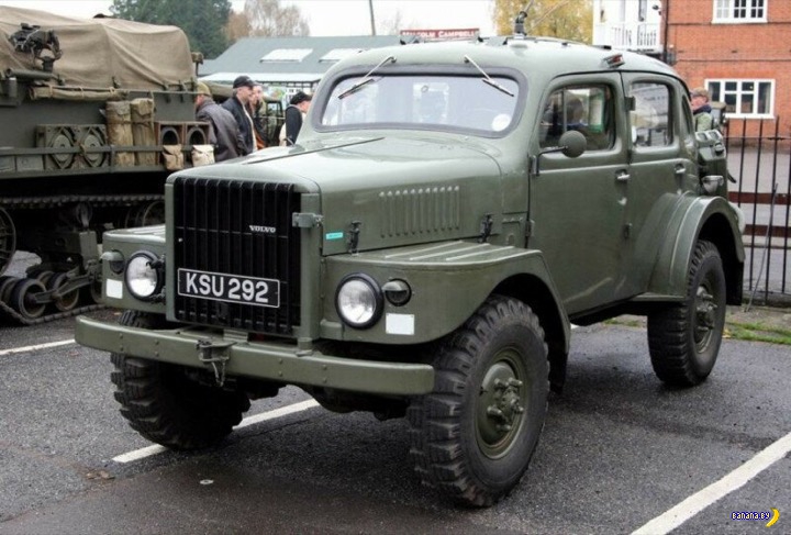 Вольваха-поросёнок