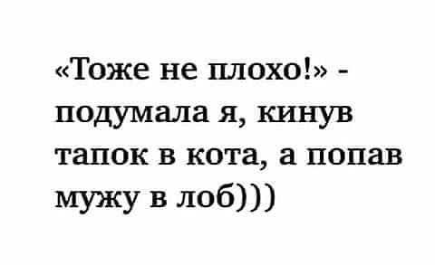 Боксеру легче защитить диссертацию, чем написать ее анекдоты