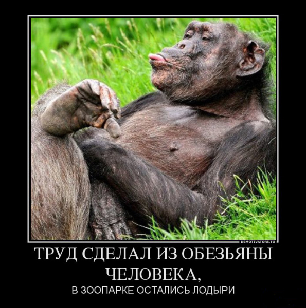 Для чего в СССР обезьянам отдали остров? обезьян, более, человека, обезьяны, остров, могли, разумного, природных, условиях, эксперимент, целью, помощи, зоопарка, потом, огнем, пользуются, необычных, можно, пещерах, примитивные