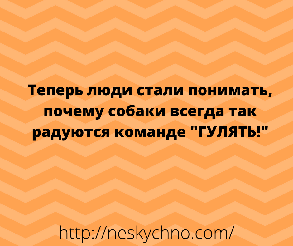 Долгожданные шутки и анекдоты в картинках 