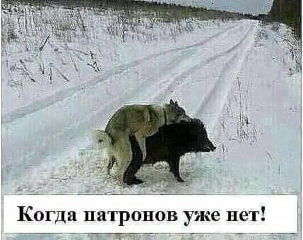 - Свидетель, вы женаты? - Нет, ваша честь... жарко, равно, Сниму, такой, поезде, стало, мужчин, Проблема, температура, некудаУчусь, юрфаке, решили, заказать, выйтито, замуж, кроме, пиццу, ДРЗвоню, общагу, случаю