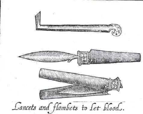 Смертоносные ланцеты врачей и цирюльников Смертоносные ланцеты врачей и цирюльников история