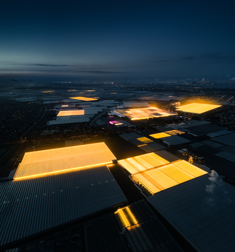 Вездесущий свет голландских теплиц: аэрофотограф создал впечатляющий проект 
