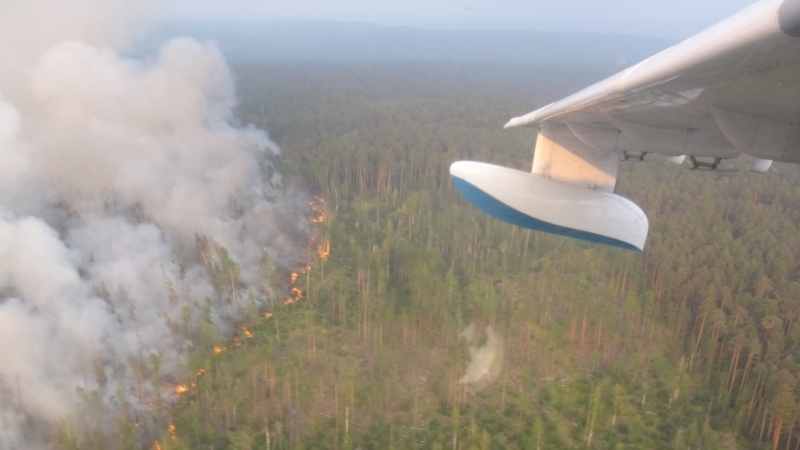 Военная авиация потушила почти полтысячи гектаров горящего леса в Сибири с 1 августа