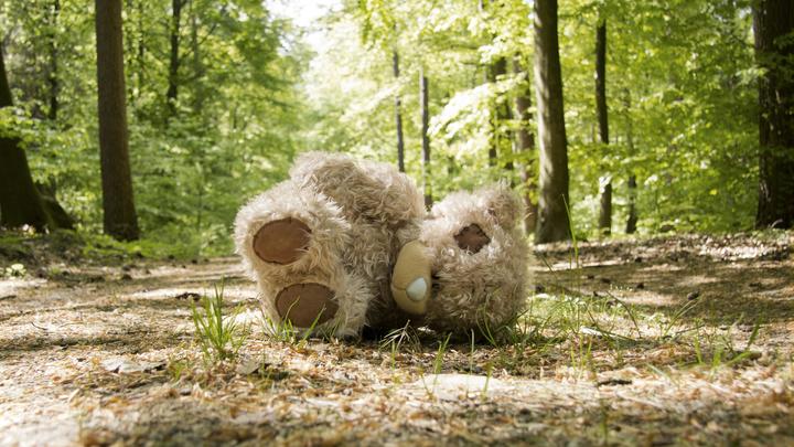 ОПЕКА ОТОБРАЛА У СЕМЬИ ДОЧЬ И ПОСЕЛИЛА С ЦЫГАНАМИ: МАМА И ПАПА УЖЕ ГОД БЬЮТСЯ В ЗАКРЫТУЮ ДВЕРЬ