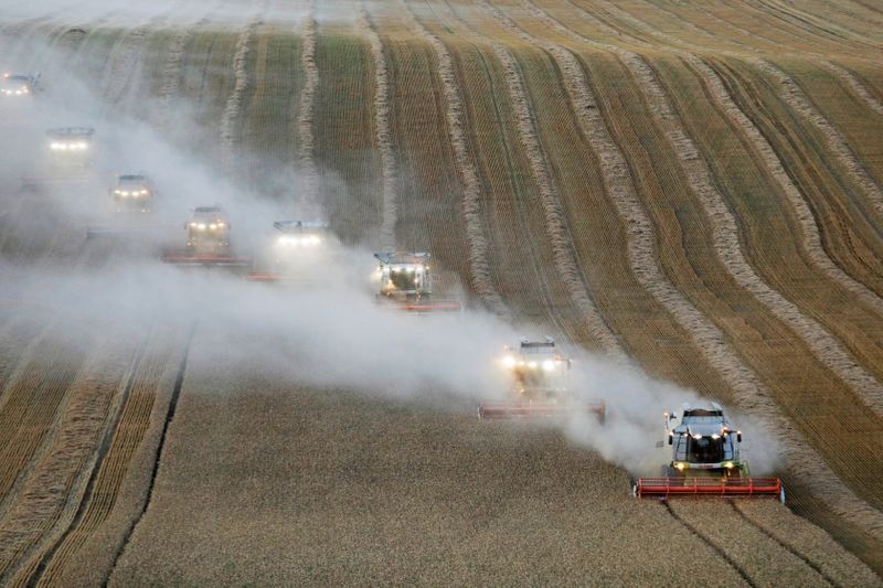 Минсельхоз РФ планирует квоту на экспорт зерна из РФ на январь-июнь 22г