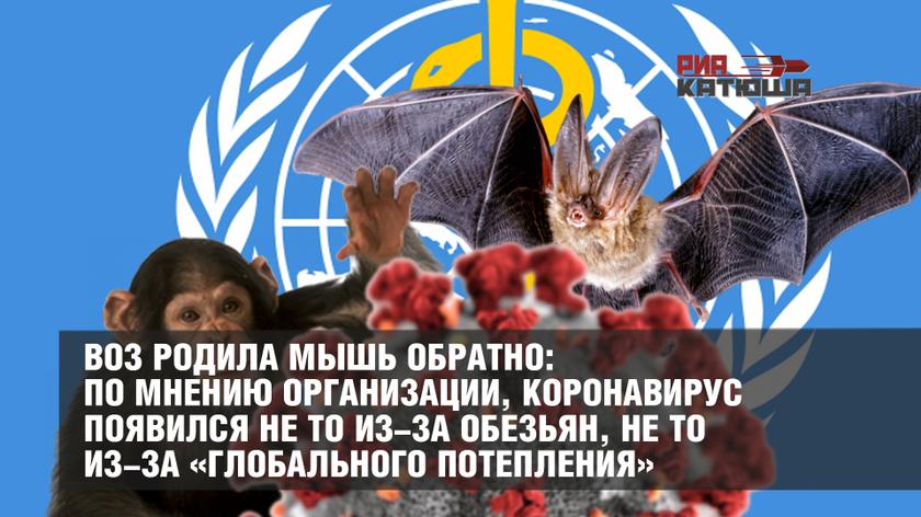 ВОЗ родила мышь обратно: по мнению организации, коронавирус появился не то из-за обезьян, не то из-за «глобального потепления»