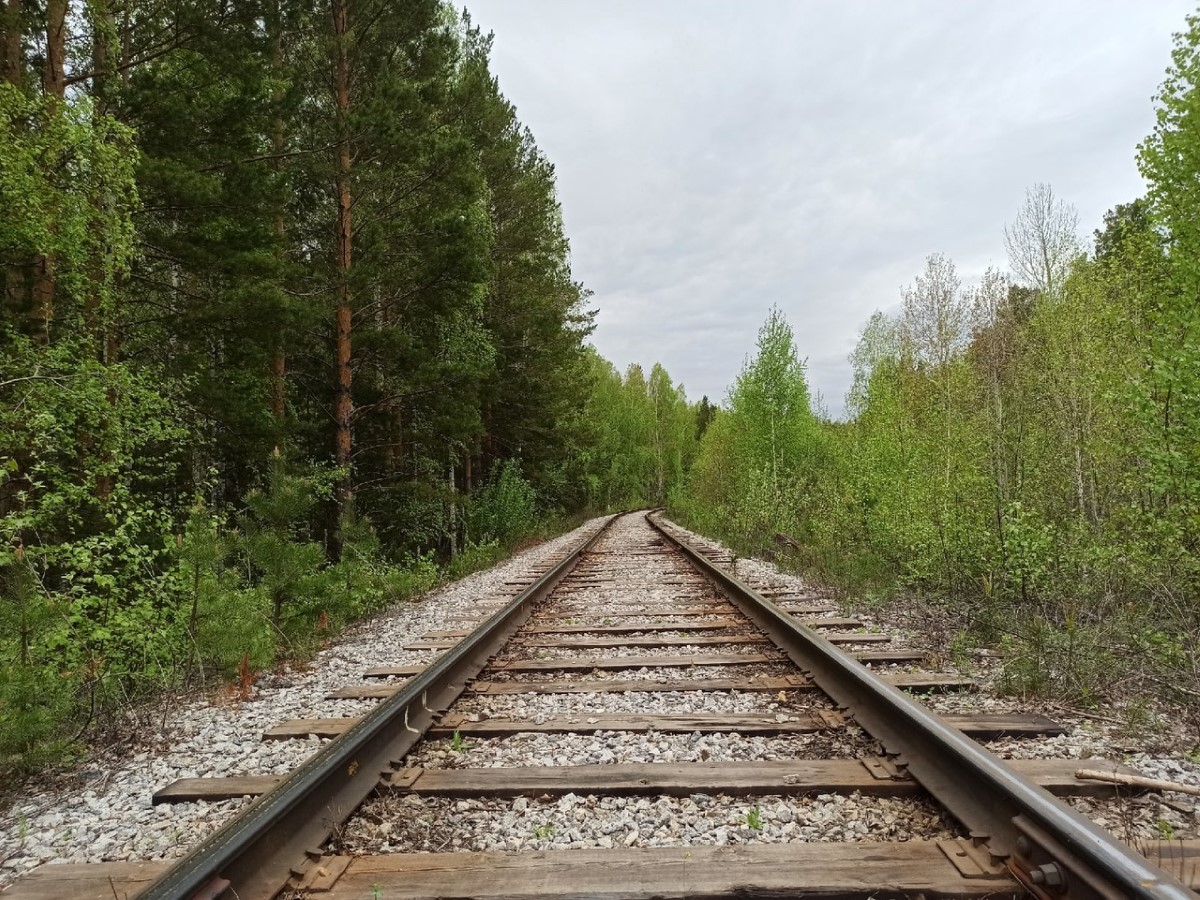 На Сахалине размыло пятиметровый участок железнодорожного пути