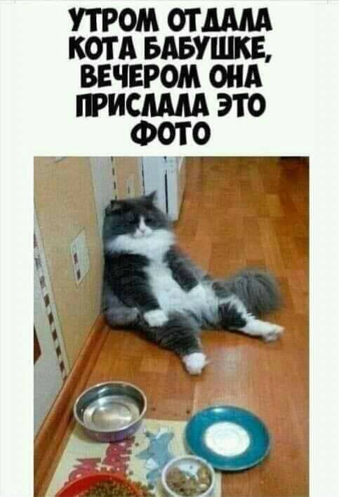 Юмор из интернета 695 позитив,смех,улыбки,юмор