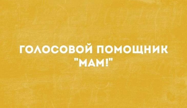 15 ироничных остроумных фразочек в картинках для отличного настроения 