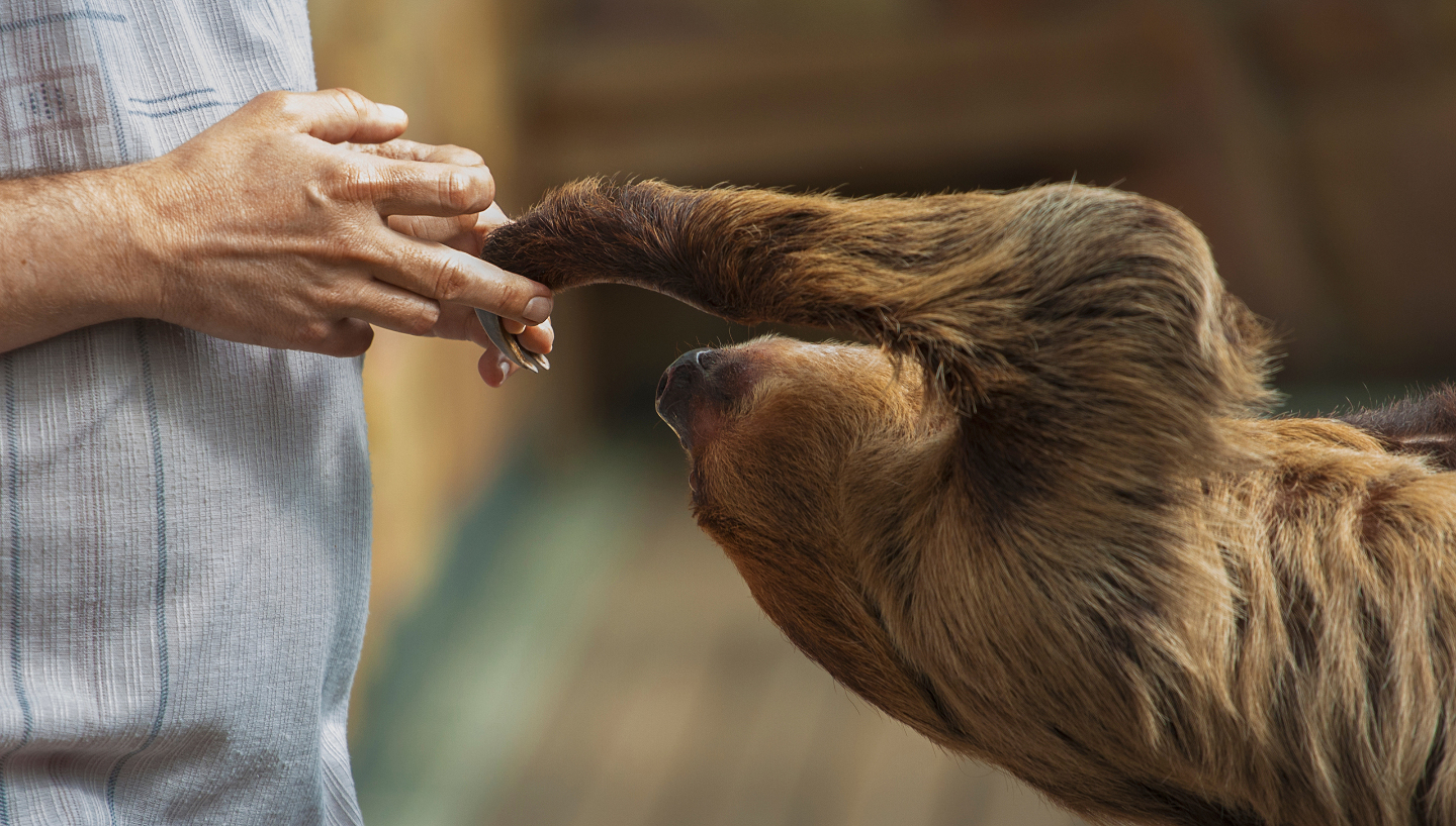 Интересные факты