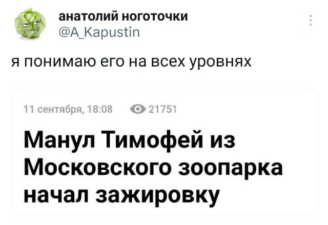 Прикольные твиты 